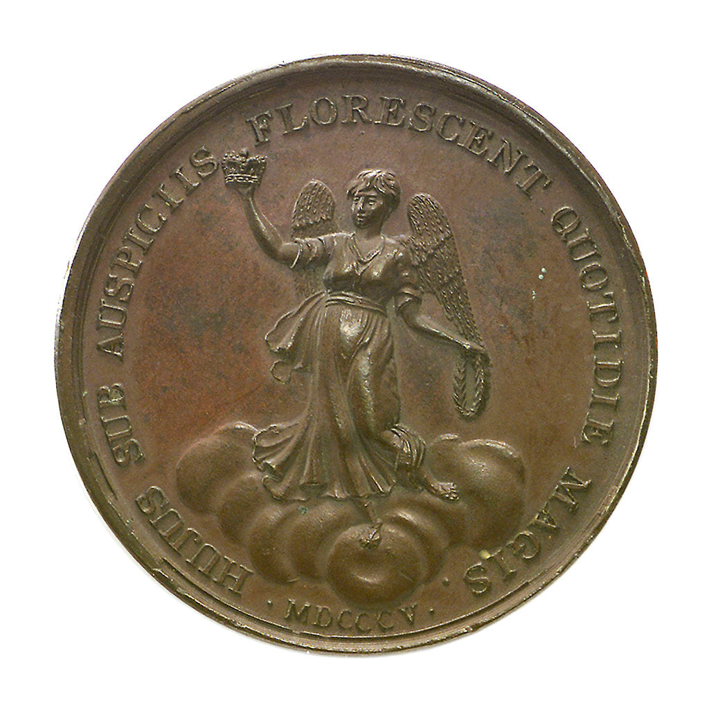 Detail of Medal commemorating the victories under George III; reverse by J. Westwood