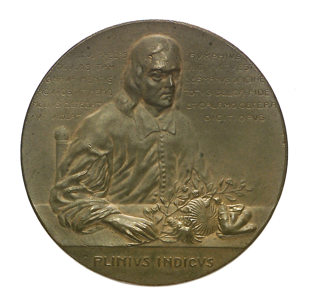 Detail of Medal commemorating the bicentenary of G.F. Rumphius (1627-1702); obverse by unknown
