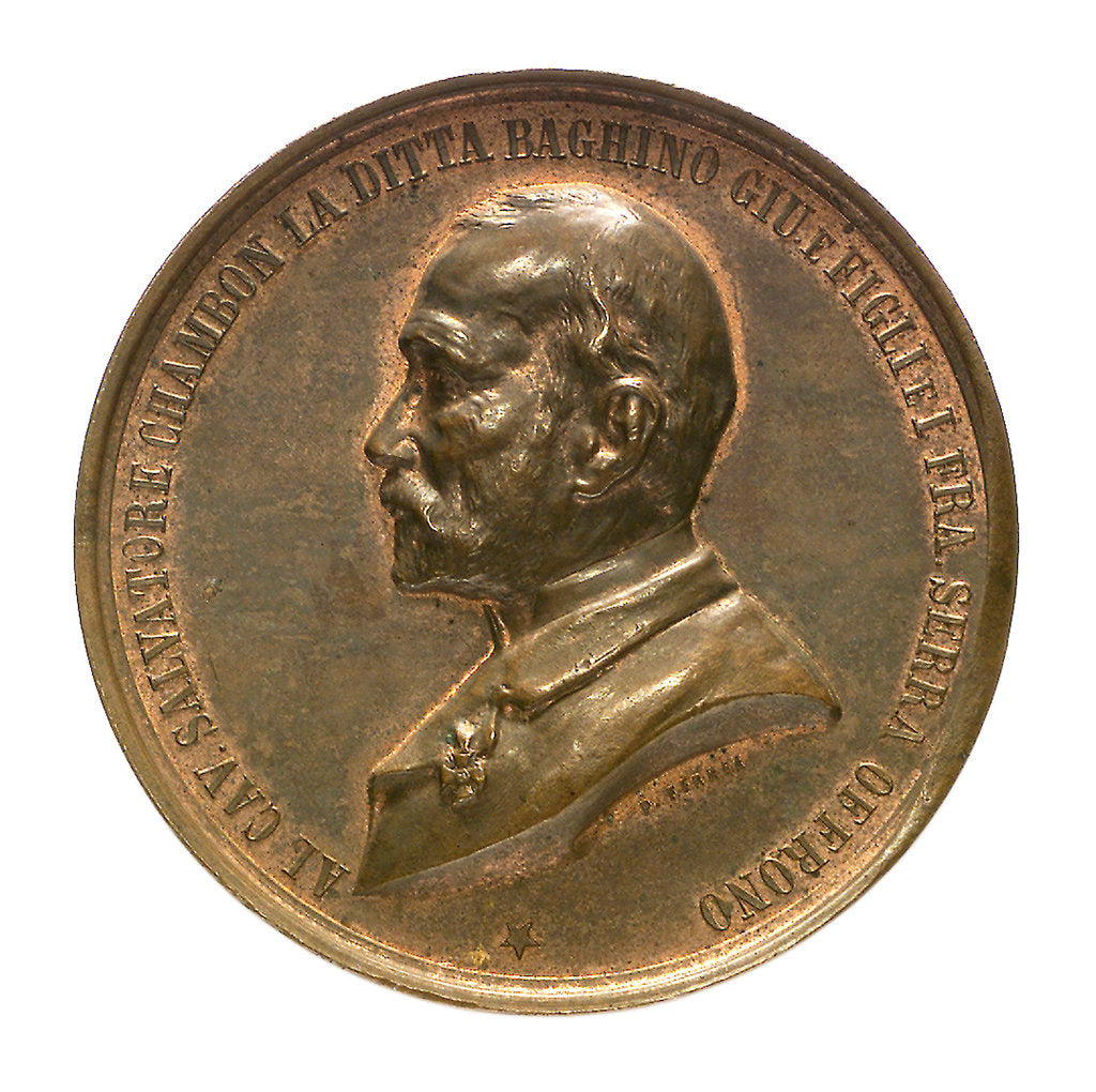 Detail of Medal commemorating the raising of HMS 'Sultan', 1889; obverse by P. Ferrea