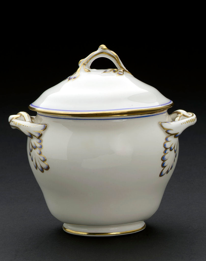 Detail of Porcelain bowl with lid by Unknown