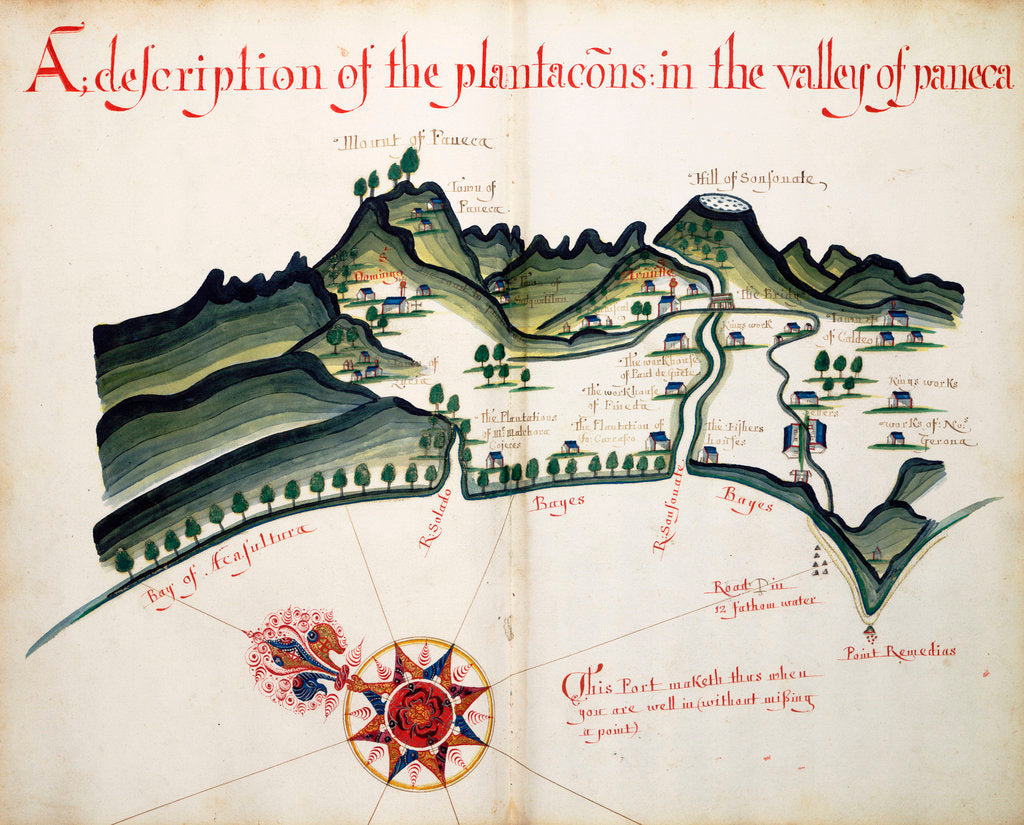 Detail of A description of the Plantations in the Valley of Paneca by William Hack