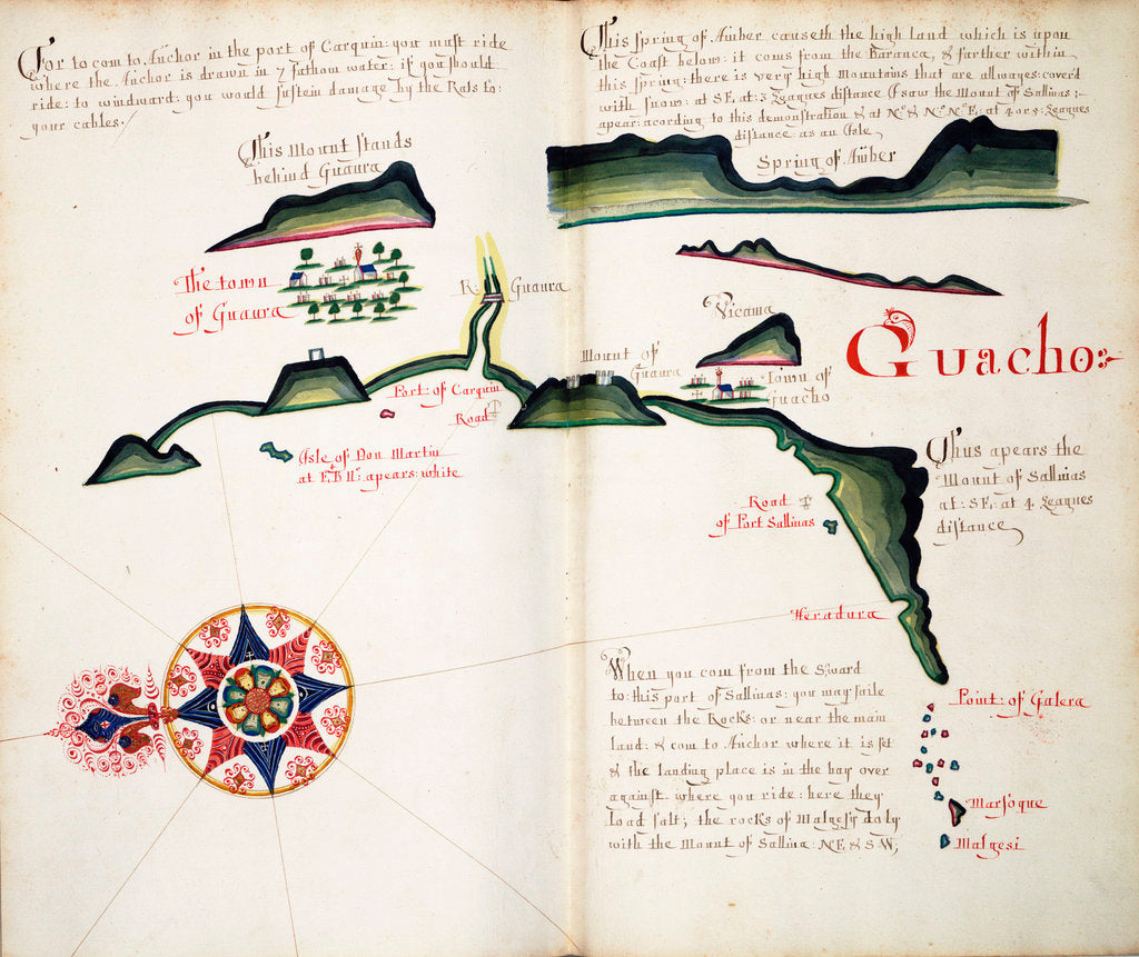 Detail of Guacho by William Hack