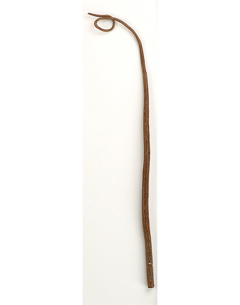 Detail of Whip by unknown