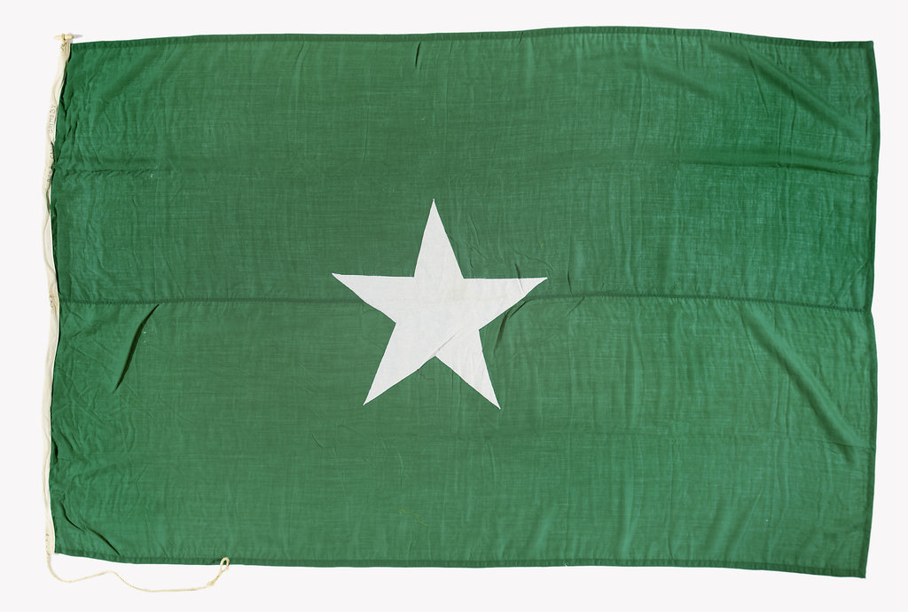 Detail of House flag, Ross Group by unknown