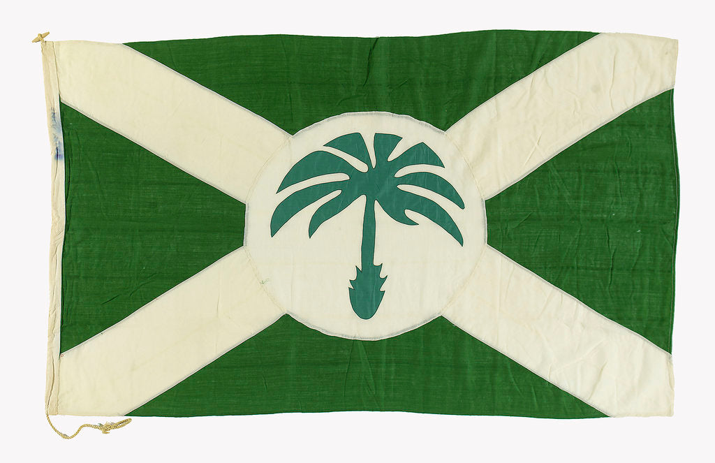 Detail of House flag, Palm Line Ltd by Unknown
