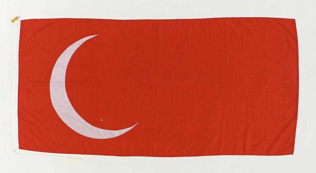 Detail of House flag, London & Rochester Trading Co. by Unknown