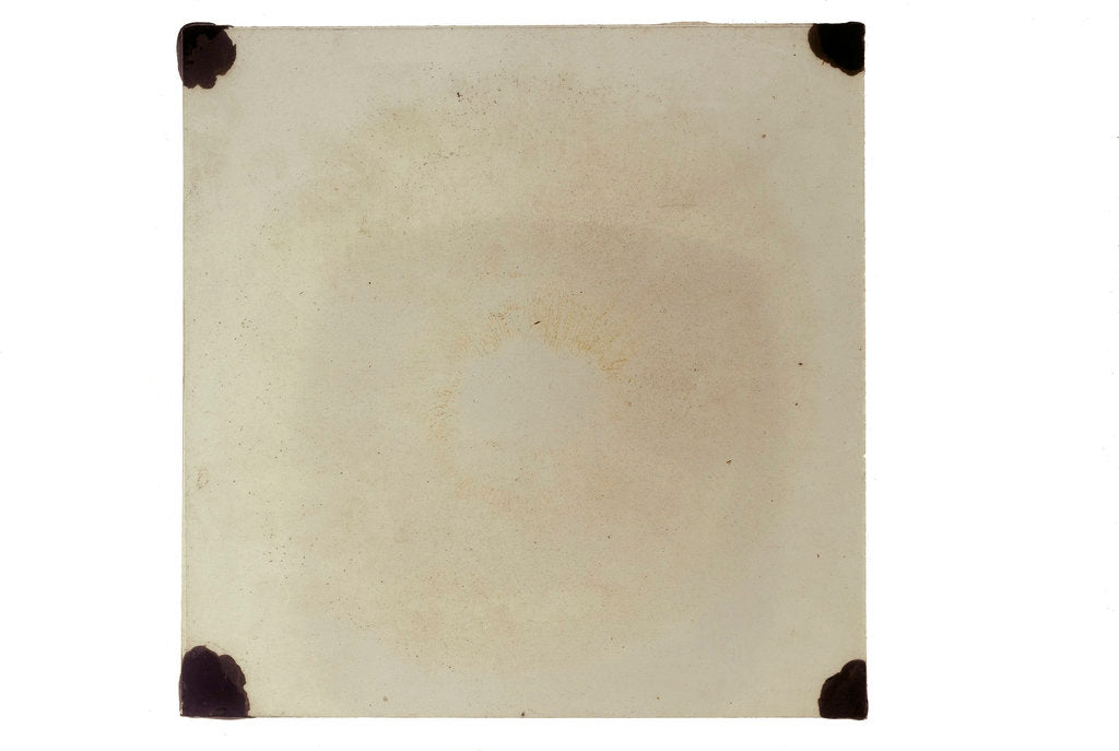 Detail of Glass slide by Unknown