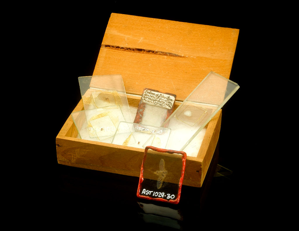 Detail of Microscope slides and box by Unknown