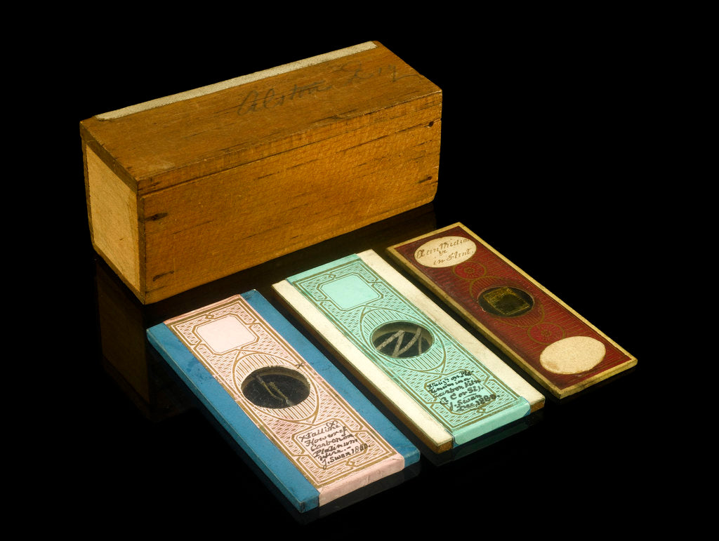 Detail of Microscope slide and box by unknown