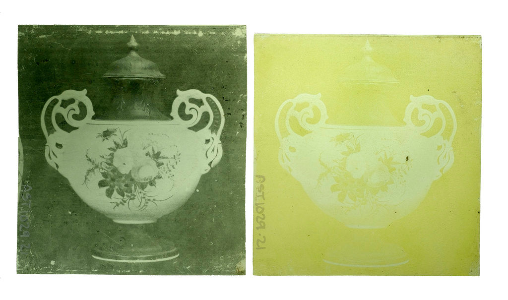 Detail of Two transparencies of a Wedgwood vase circa 1900 by Unknown