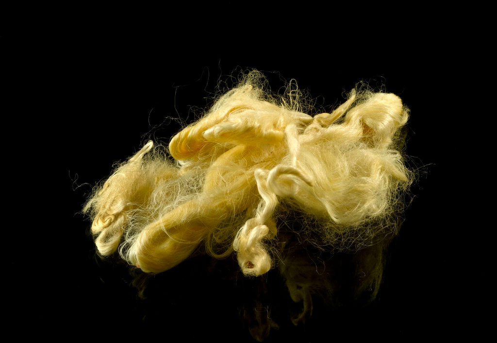 Detail of Two skeins of raw silk in an envelope by unknown