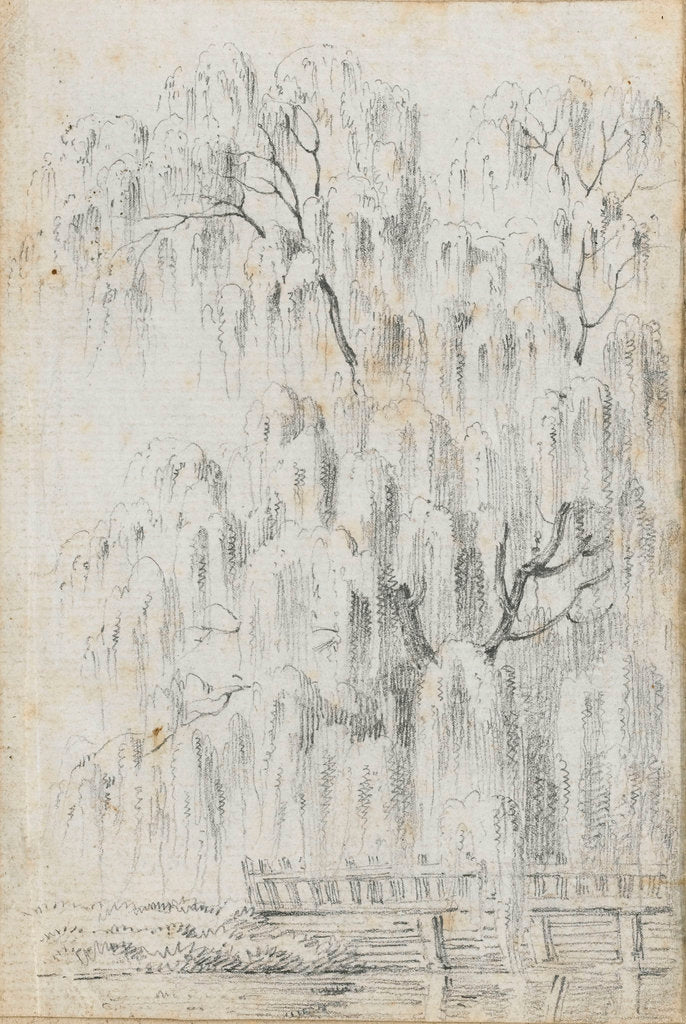 Detail of Study of a tree overhanging water at Merton (recto) by Thomas Baxter