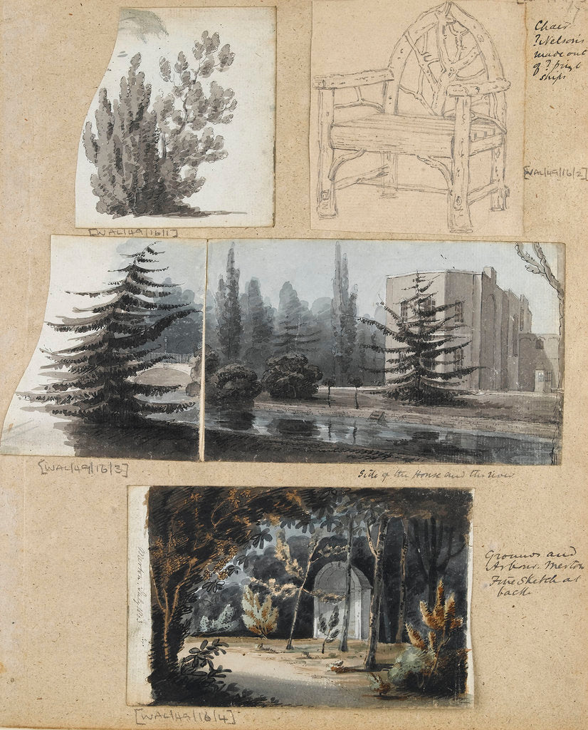 Detail of A study of a shrub and and chair, views of Merton Place by Thomas Baxter