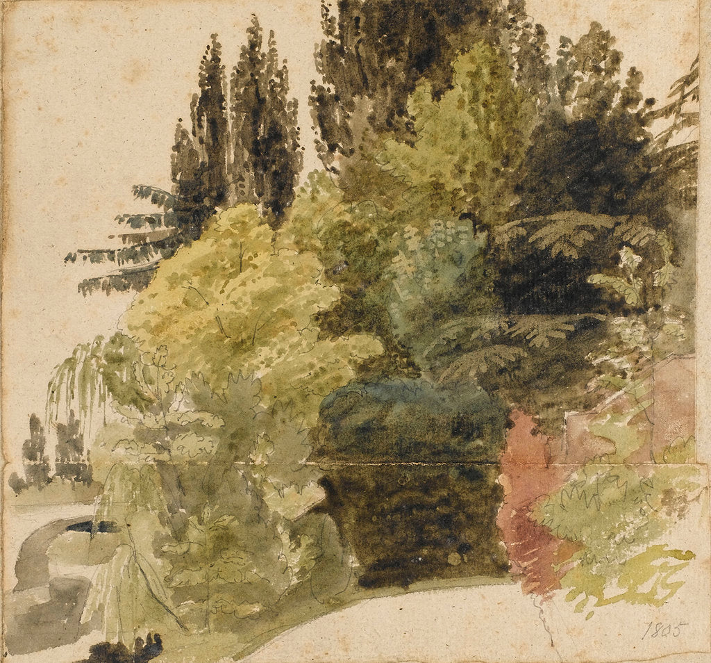 Detail of A study of trees in the grounds at Merton Place by Thomas Baxter