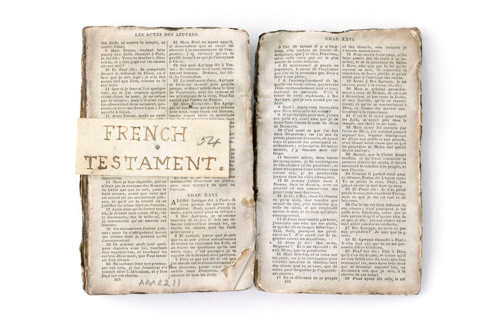 Detail of French New Testament' double page spread by unknown