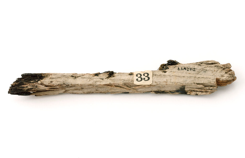 Detail of Timber fragment by unknown