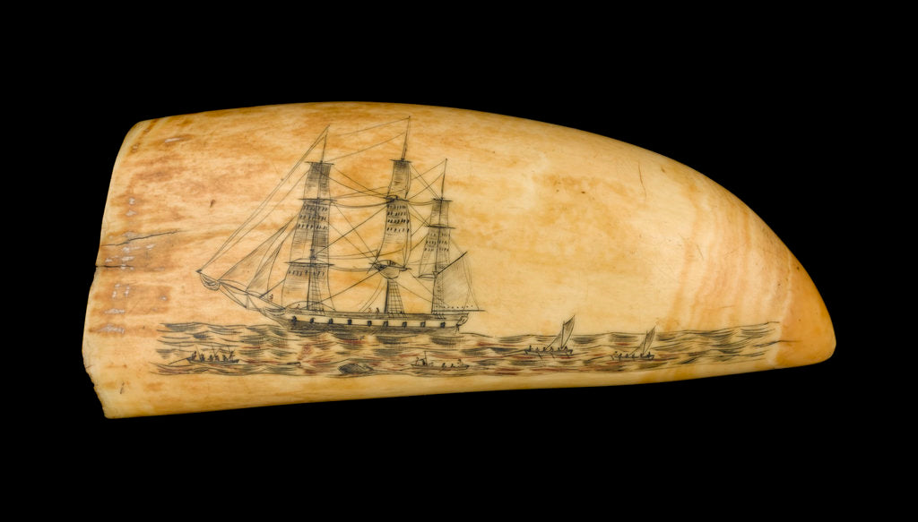 Detail of Whale tooth by unknown
