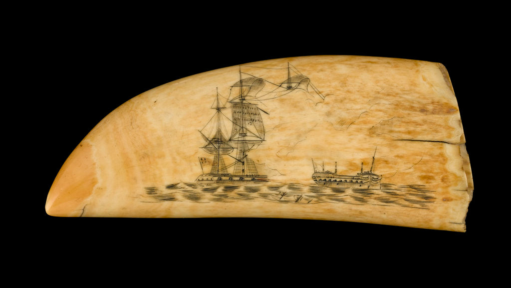 Detail of Whale tooth by unknown