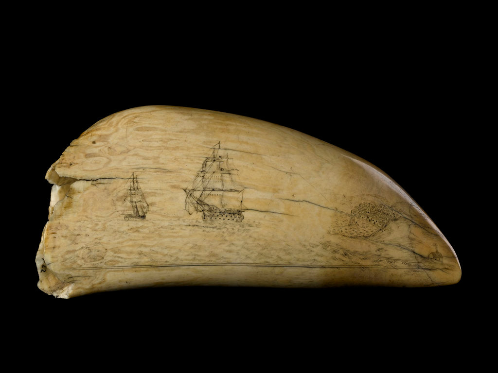 Detail of Whale tooth by Unknown