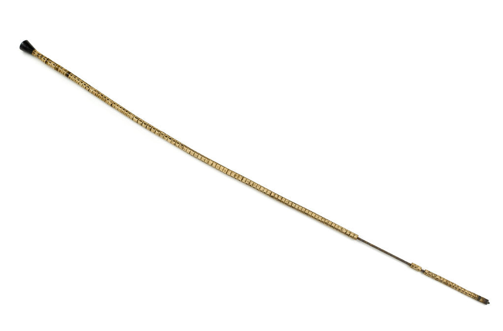 Detail of Walking stick by Unknown