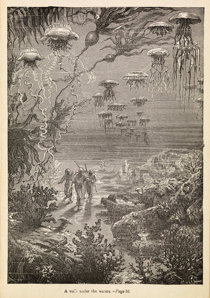 Detail of A walk under the waters' from 'Twenty Thousand Leagues Under The Sea by Alphonse-Marie-Adolphe de Neuville