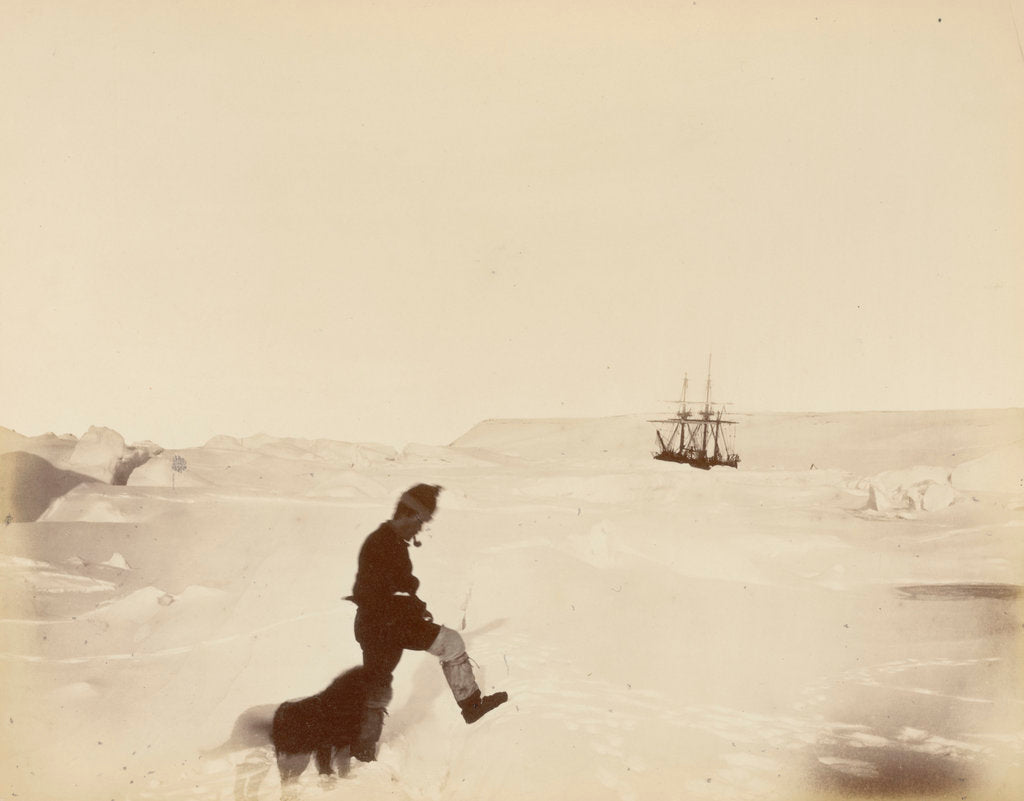 Detail of Winter quarters of the 'Alert'; Cape Rawson in the distance; Mr White and 'Nelly', during British Arctic Expedition, 1875-1876. by George White