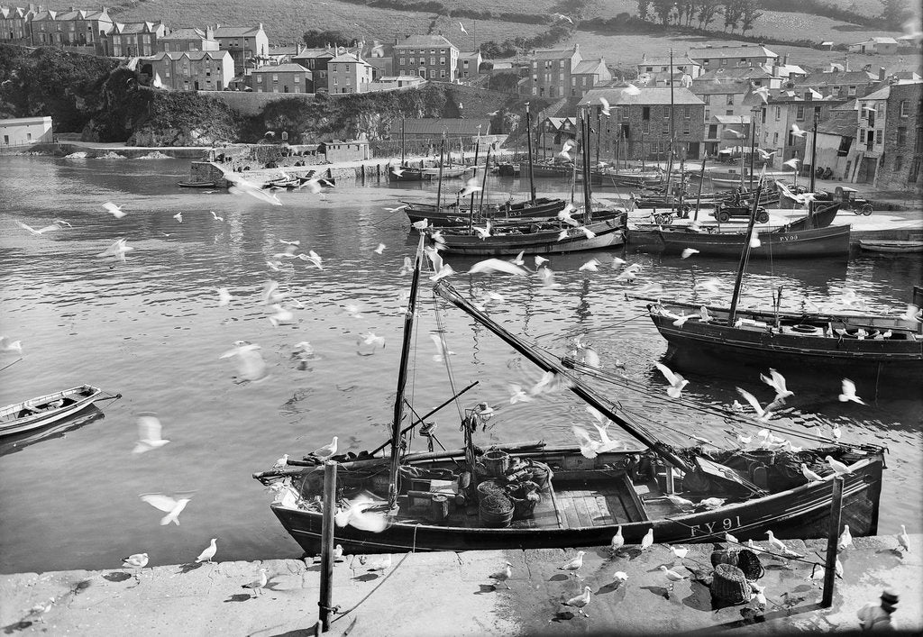 Detail of Harbour and flock of seagulls, Mevagissey, Cornwall by Francis Frith & Co.