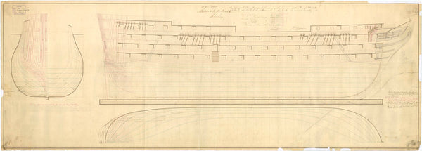 'Princess Charlotte' (1825); 'Royal Adelaide' (1828)