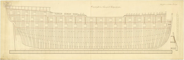 'Plantagenet' (1801)