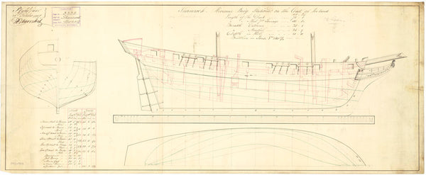 Lines and profile plan of vessel Shamrock (1798?)