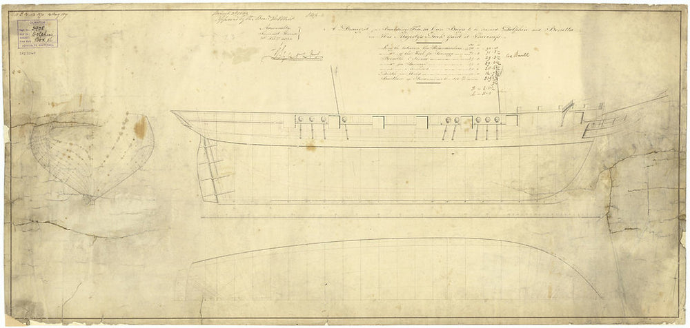 Lines plan for 'Dolphin' (1836); 'Bonetta' (1836)