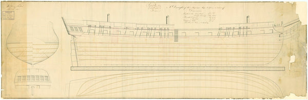 Lines & profile plan for 'Gloire'