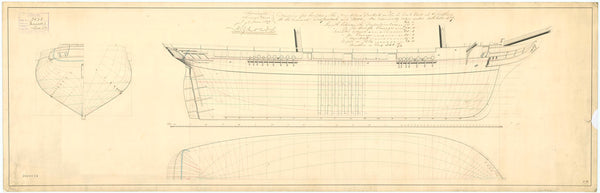 Lines plan for 'Dispatch' and 'Dove'