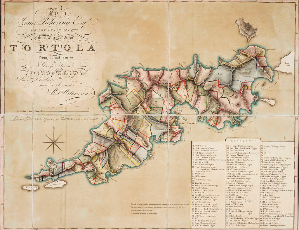 Detail of Plan of Tortola from survey by George King by George King