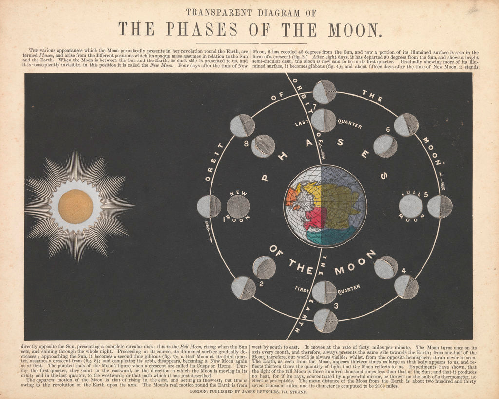Detail of Transparent Diagram of the Phases of the Moon by James Reynolds