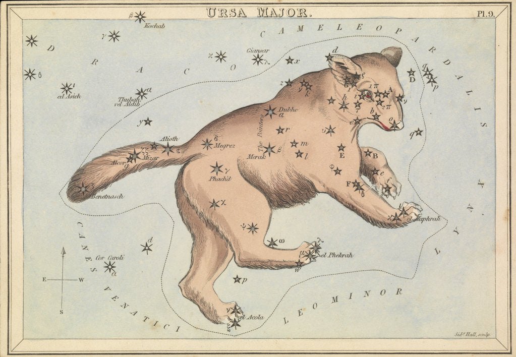 Detail of Ursa Major by Sidney Hall