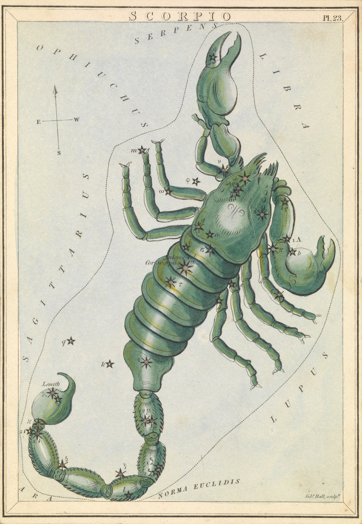 Detail of Scorpio by Sidney Hall