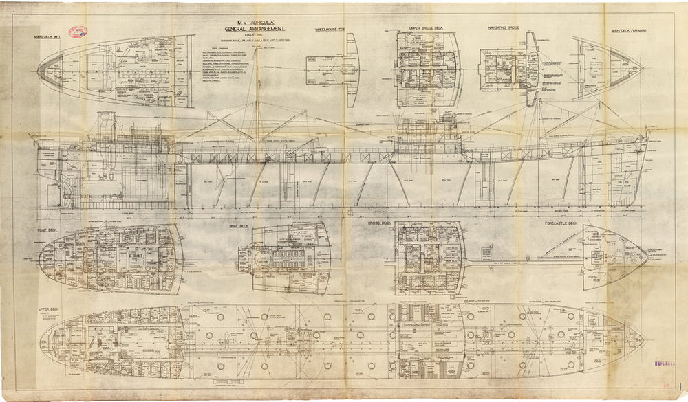 General Arrangement plan for MV ‘Auricula’ (1946)