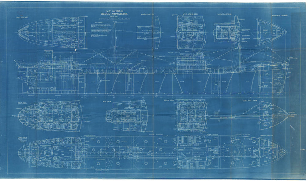 General Arrangement Blueprint for MV 'Auricula' (1946)