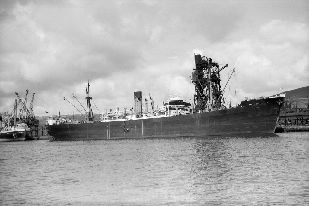 Detail of General cargo 'Baron Elphinstone' (Br, 1937) under a coal hoist in Kings Dock, Swansea by unknown