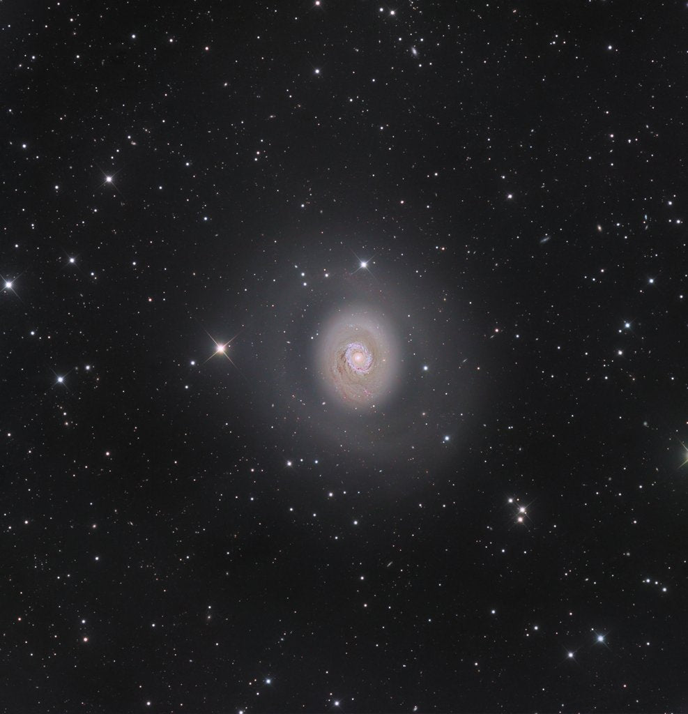 Detail of M94: Deep Space Halo by Nicolas Outters