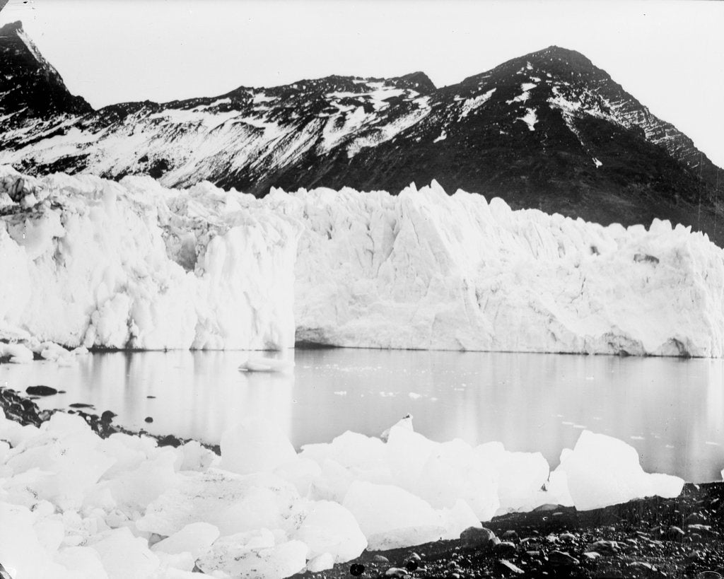 Detail of Hamberg Glacier, Moraine Fjord, South Georgia by unknown
