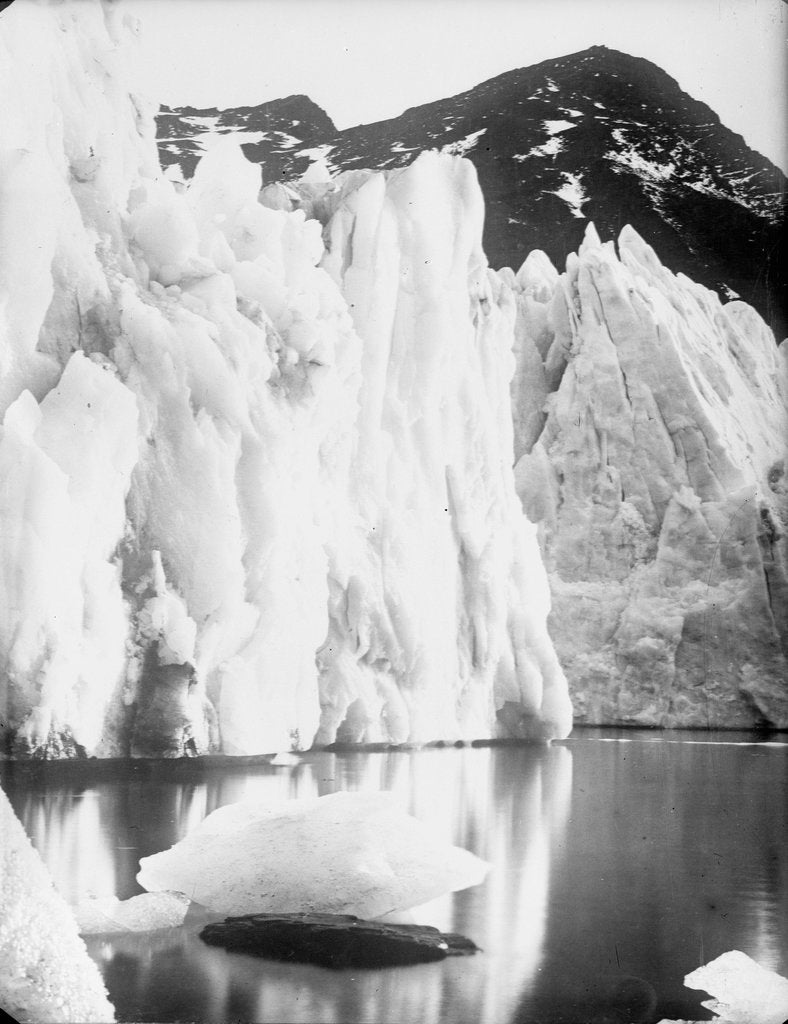 Detail of The snout of Hamberg Glacier, Moraine Fjord, South Georgia by unknown
