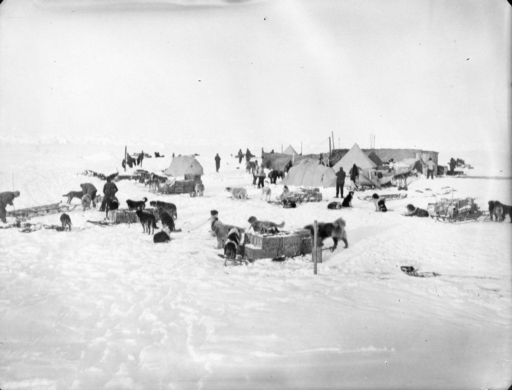 Detail of Ocean Camp established on the ice, Weddell Sea, Antarctica by unknown