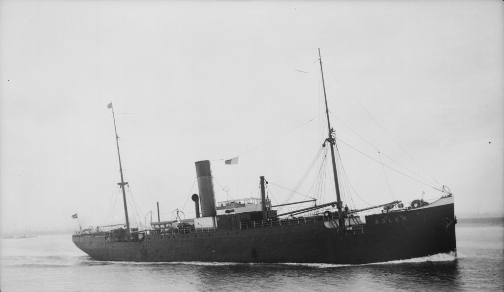 Detail of The Argo Line steamship 'Adler' (1900) by unknown