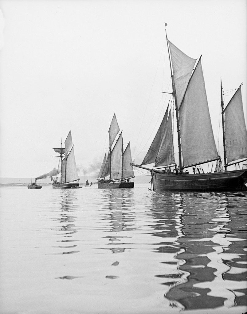 Detail of A tug and sailing vessels on the River Torridge off Appledore in Devon by unknown