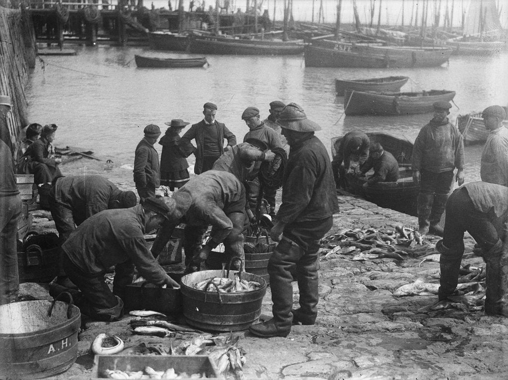Detail of Folkestone, Kent. Sorting fish on the harbour slipway at low water by unknown