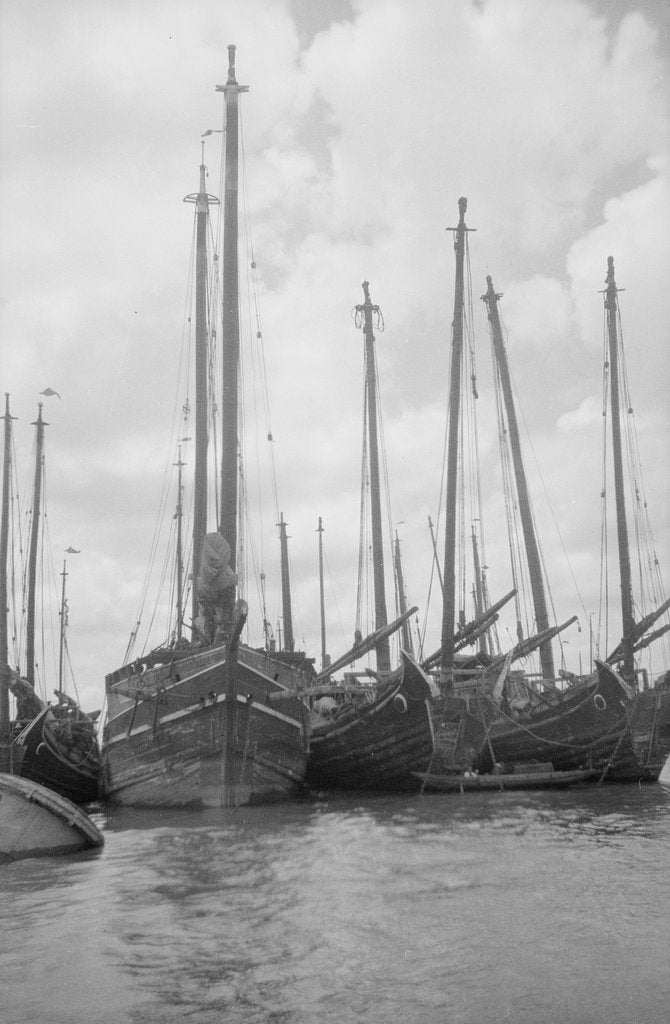 Detail of A bow view of the lorcha type junk 0667 moored between other junks at Shanghai by David Watkin Waters