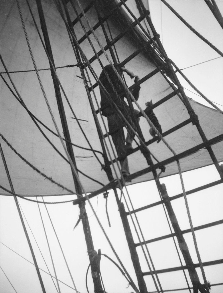Detail of A seaman enticing the ship's cat up one of the shrouds of 'Pommern' (Fi, 1903) 4 masted barque, ex 'Mneme', Gustaf Erikson by unknown