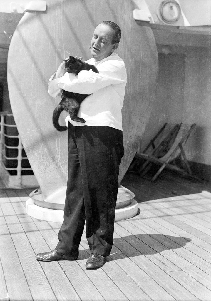 Detail of Steward with ship's cat by Marine Photo Service
